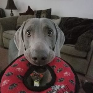 Meet your Posher, Stacey